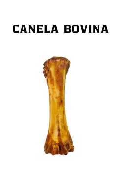 Canela Bovina Natural em Água Azul