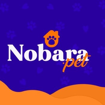 Distribuidor de Petiscos para Gatos em José Bonifácio