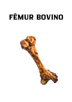 Femur de Boi para Cães em Água Funda