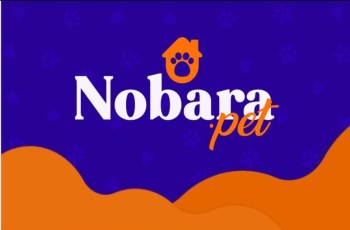 Fornecedor de Acessórios para Gatos em Santa Bárbara dOeste