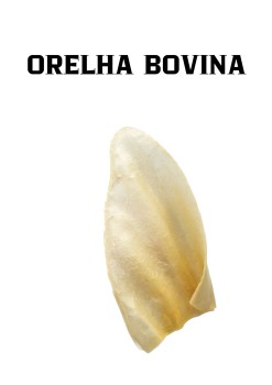 Orelha de Bovina para Cachorros em Água Funda